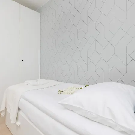 Ossolineum Old Town By Renters * Wroclaw